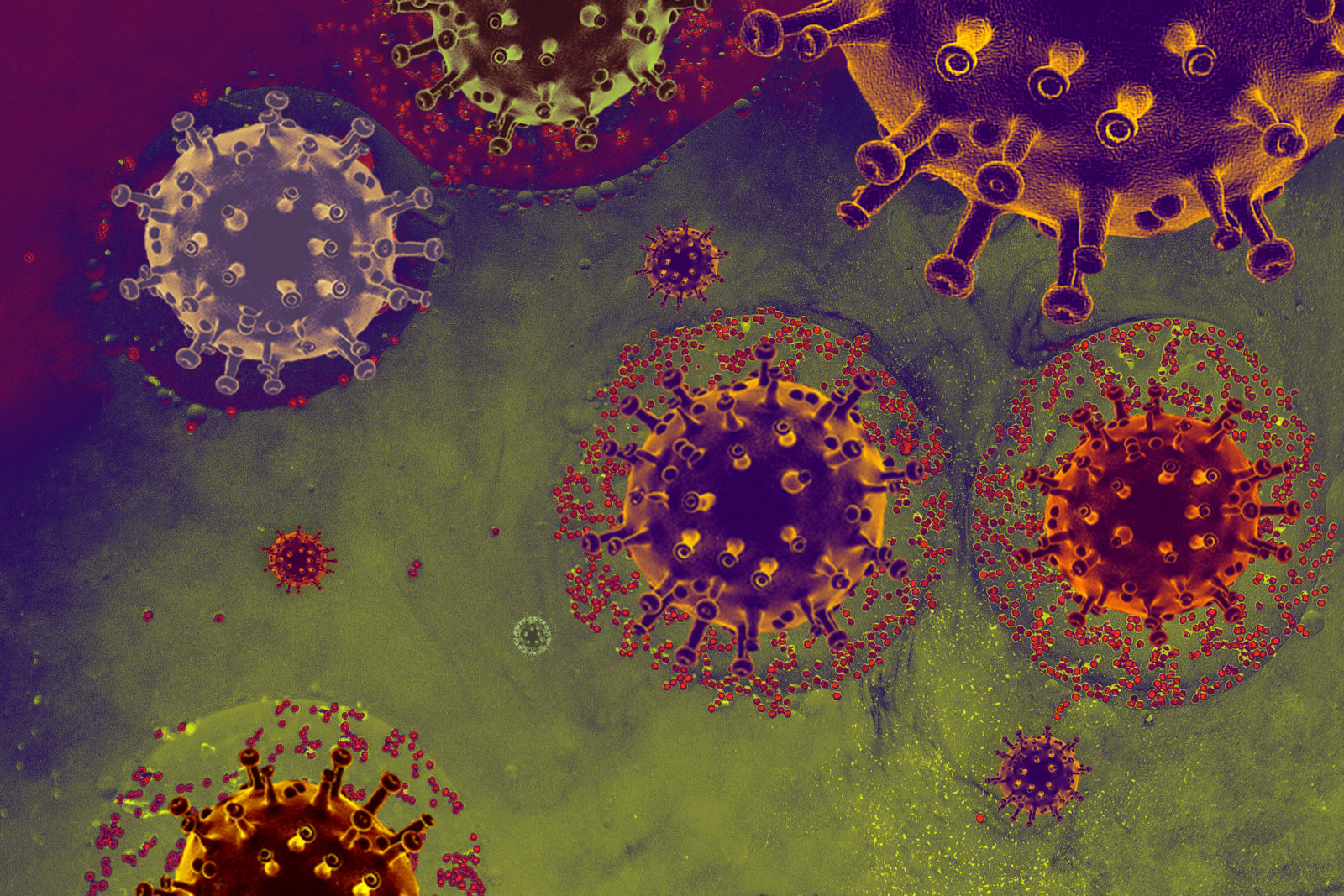 Rapid Substitution 43684686 view of a virus cells or bacteria molecule infectious disease concept